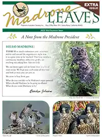 Newsletter