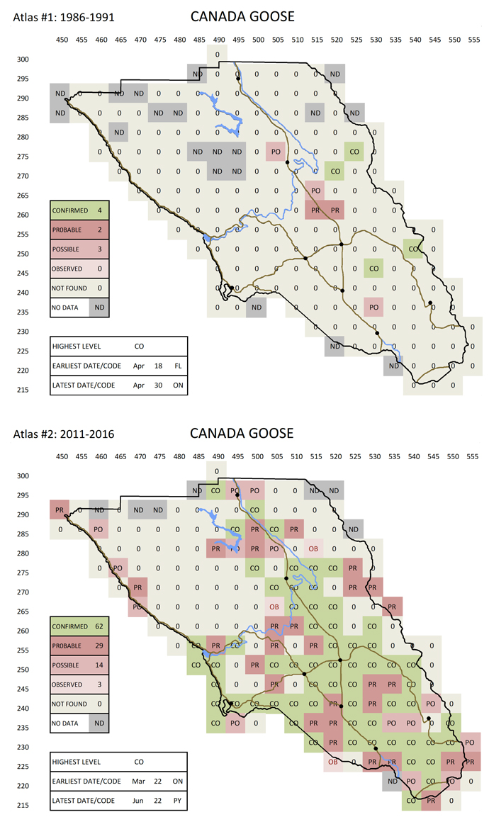 Canada Goose map