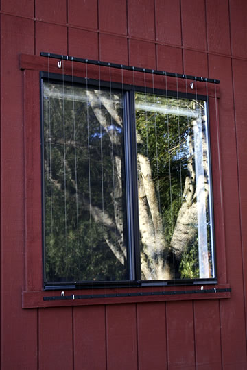 Bird Safety Window Treatment