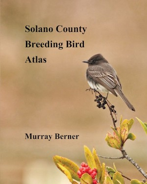 Field Guide to Breeding Birds of Solano County