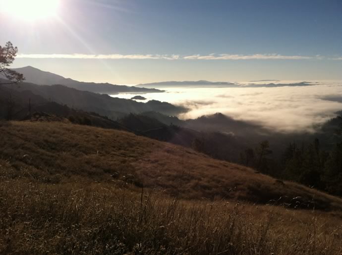 Mayacamas Mountain Sanctuary